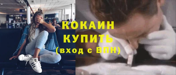 стафф Заводоуковск