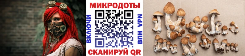 Псилоцибиновые грибы мицелий  Купить где  Чебаркуль 